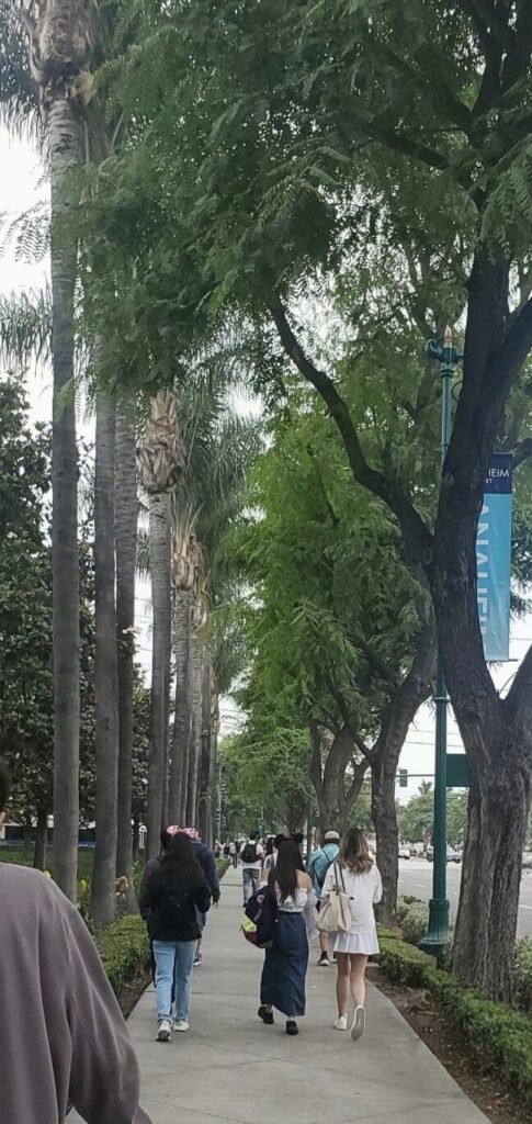 디즈니랜드 주변 하버길에서 공원 입구 방향으로 걸어가는 방문객들